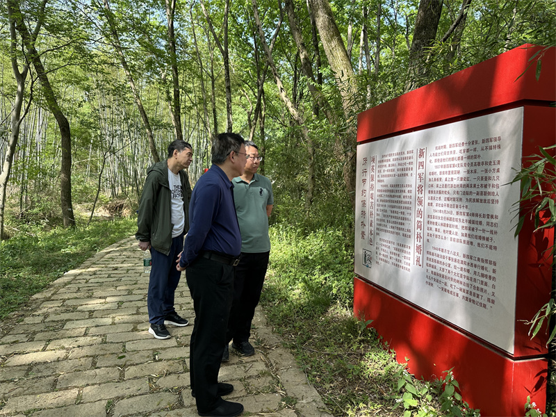 “追尋紅色足跡，擁抱生態夏意”-夏日團建活動3